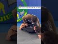 Triangle choke  shorts jiujitsu grappling