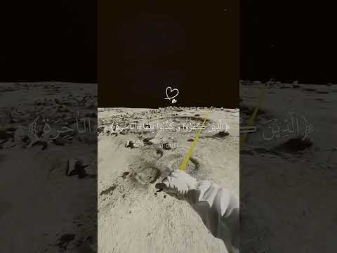 ٥ تشرين الثاني، ٢٠٢٥