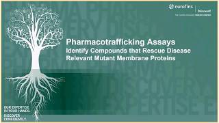 Eurofins DiscoverX Pharmacotrafficking Assay