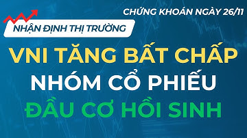 ANH T RA TAY GIẢI CỨU THỊ TRƯỜNG  | CHỨNG KHOÁN NGÀY 26/11