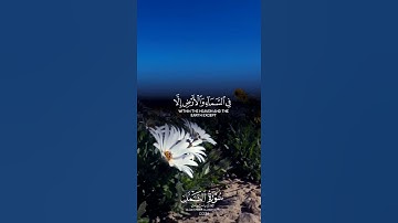 ماتيسر من سورة النمل/ القارئ ياسر الدوسري#قران_كريم_بصوت_جميل_جدا #quran #ياسر_الدوسري