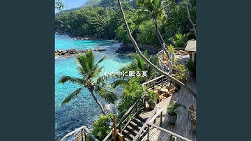 Sublime Backdrops for Chill Favorites