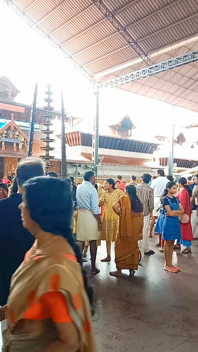 തൊഴുതിട്ടും തൊഴുതിട്ടും മതിയാവുന്നില്ലല്ലോ ഗുരുവായൂരപ്പാ നിൻ ദിവ്യരൂപം....#shorts#vairal#guruvayoor