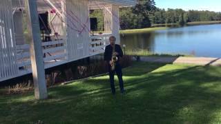 Selmer sax,Готовимся к встрече жениха и невесты)Да винчи парк,СПБ Selmer sax,Готовимся к встрече жениха и невесты)Да винчи парк,СПБ