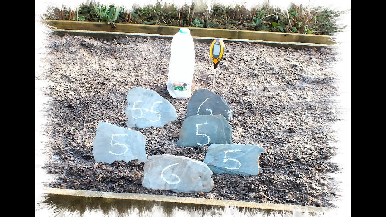 How to test your soil's acidity, then adjust it, the easy way. YouTube