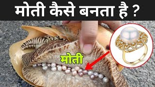 मोती कैसे बनता है ? | How Pearls Are Made | Most Expensive Pearl