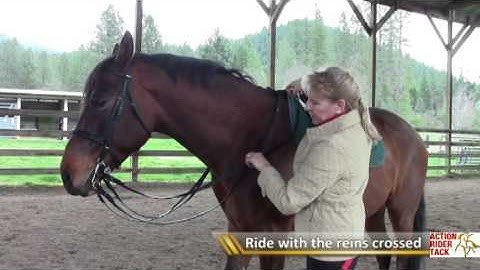 What Is: Pelham Bits by Myler Bits