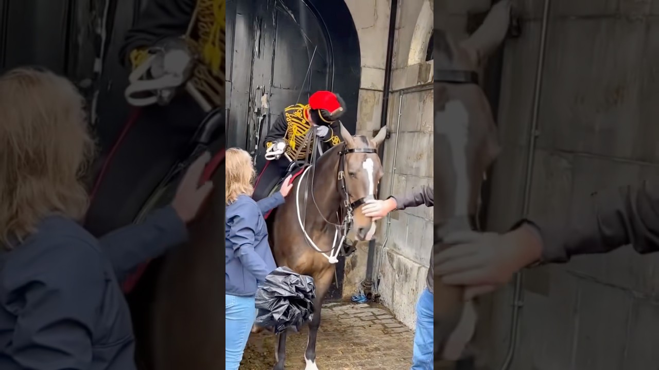 Семья посещает рыцарей Королевской гвардии 