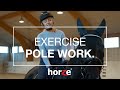 Pole Work Exercise Masterclass with Chloe Loane - Part 1