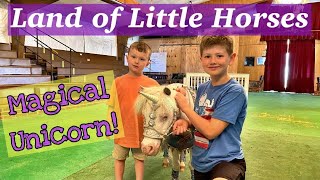 Land Of Little Horses - Miniature Horse Theme Park In Gettysburg Pa