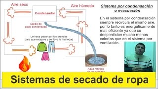 Distintos sistemas de secado de ropa. ¿Cuál es el mejor secarropas?