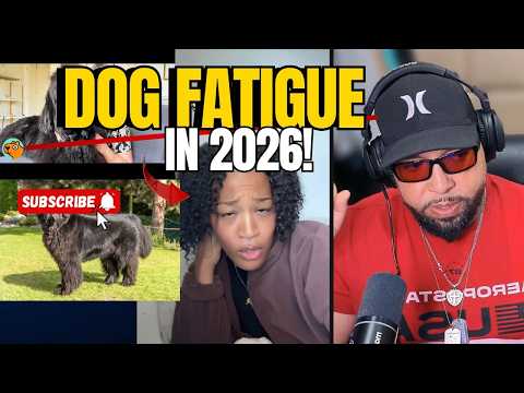 People are having serious dog Fatigue