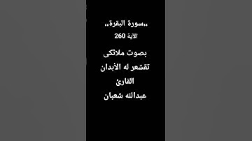 #القارئ_عبدالله_شعبان_سورة_البقرة #لايك #اكسبلور #قرآن #راحة_نفسية