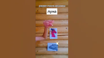 дракон из тик тока (не мой)