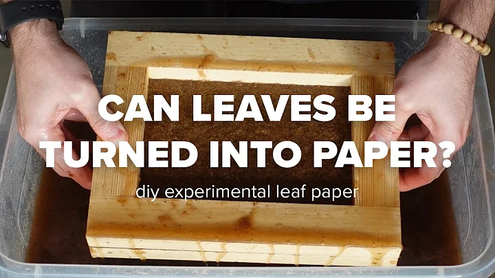 Can Leaves Be Turned Into Paper? DIY Experimental Leaf Paper
