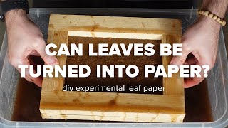 Can Leaves Be Turned Into Paper? DIY Experimental Leaf Paper by Cory Morrison 514,091 views 1 year ago 15 minutes