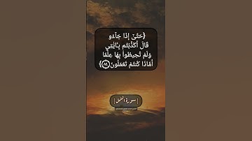 سورة النمل الآية ٨٣ و ٨٤ بصوت الشيخ محمد صديق المنشاوي