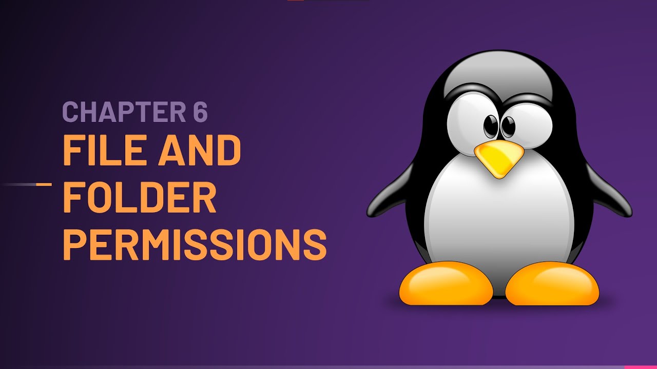 File and Folder Permissions | Mastering Linux - YouTube