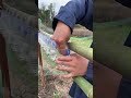Bottle Planter DIY.