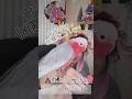 ウワサの凶暴な子w配信中うんちを教えてくれるよ【ライブの切抜き】モモイロちゃーちゃん23歳🍑🕊 #喋る鳥 #ピンクの鳥 #parrot