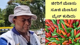 Bird's eye chilli wine ಜೀರಿಗೆ ಮೆಣಸು - ಸೂಜಿ ಮೆಣಸಿನ ವೈನ್  Rajadani spices & wine store Madikeri Coorg