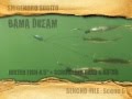 まさにアユの群れ、これがアラバマリグの水中映像　船長ファイル５