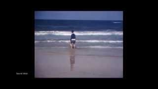 Secret Wish - Save Her