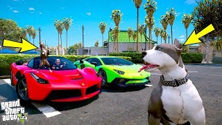 YAVRU PİTBULL ABİSİ KAOS'LA ARABA PAZARINA GİDİYOR! - GTA 5