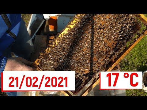 Video: Imbentaryo ng beekeeper at kagamitan sa pag-aalaga ng pukyutan. Ano ang kailangan mong malaman kapag pumipili ng kagamitan sa pag-aalaga ng pukyutan