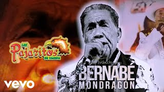 Los Pajaritos De Tacupa - Tributo a Bernabé Mondragón