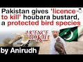 Houbara Bustard Hunting in Pakistan - Why Pakistan gives licence to kill protected bird species?