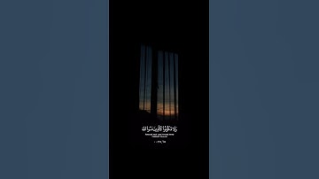 علي جابر | سورة الحشر الآيات 19 - 20