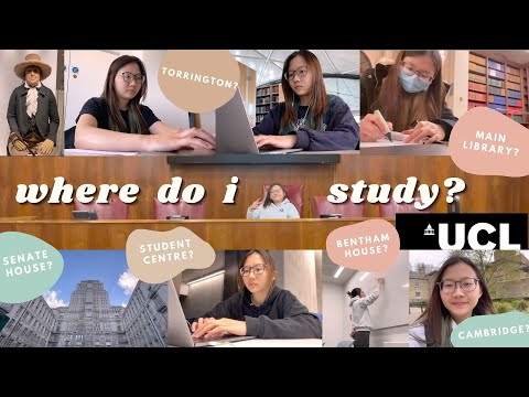 UCL study spots || law student finals revision!!