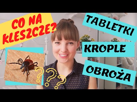 Wideo: Laboratoryjna Ocena Szybkości Zabijania Lotilanera (Credelio ™) Przeciwko Kleszczom Ixodes Ricinus Na Psach