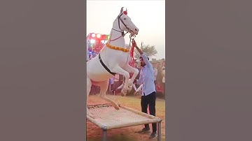 Chunni me chunni me 😱😱#shorts