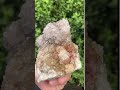 Natural Cactus Flower Smokey Spirit Quartz Cluster x 1 From South Africa