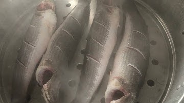 #Short# Cá Lóc Ôm Chuối||@HƯƠNGBÙIFAMILY