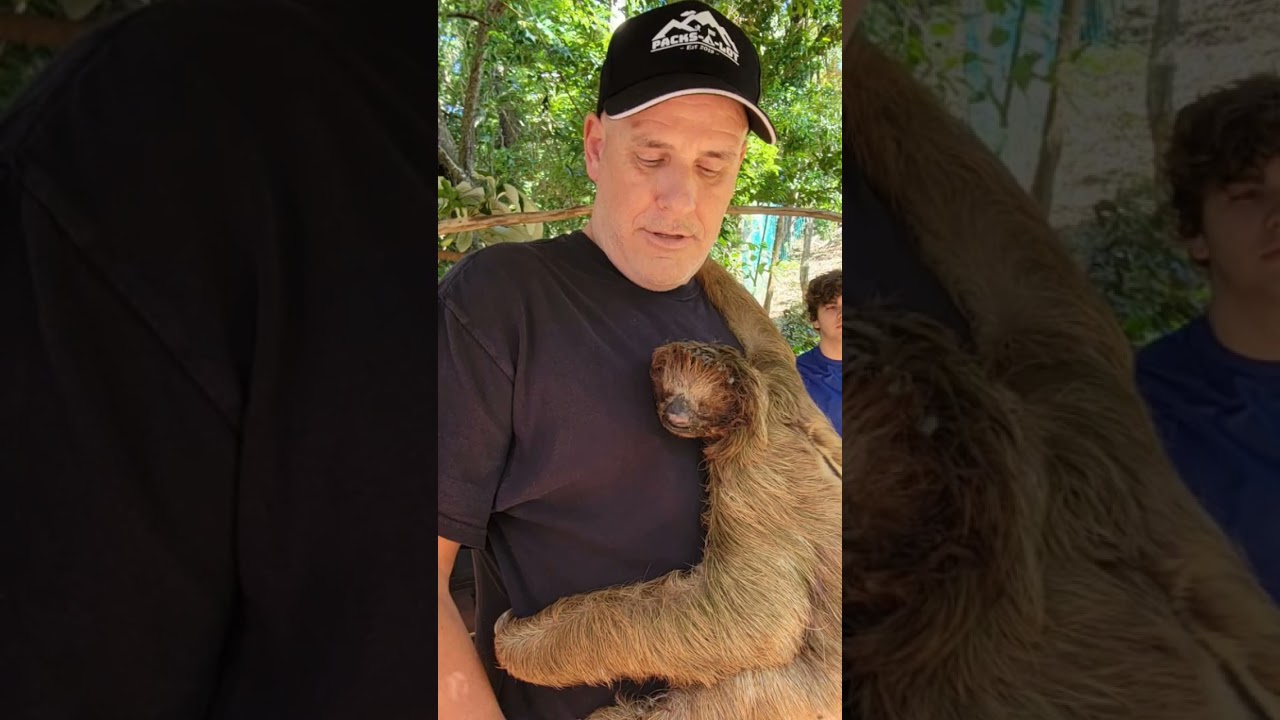Same Hair? SLOTH Encounter! When your hair is compared to a sloth! 
