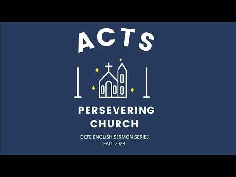 Acts 28:17-31