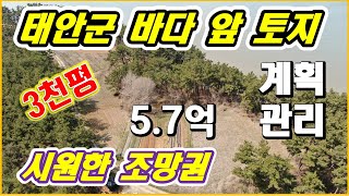 태안토지매매(금액5.7억으로 변경)/태안 토지매매/ 태안 바닷가 토지 팔어유. 넓어유. 태안 바다앞토지, 바닷가토지매매, 바다 바라보며 주택과 펜션, 숙박시설 등 다양하게 해볼까.