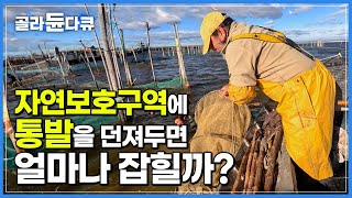 통발을 들어 올리니 무게가 심상치 않다!? 자연보호구역을 누비는 어부의 민물장어 통발 낚시┃스페인 최고 풍요의 땅 알부페라┃세계테마기행┃#골라듄다큐