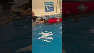 IMG 4346