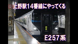 E257系（NA-09編成）「回送」上野14番線到着～発車