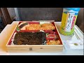 Japan Travel | Ekiben on the SHINKANSEN Train