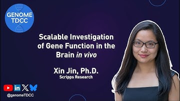 Scalable Investigation of Gene Function in the Brain in vivo