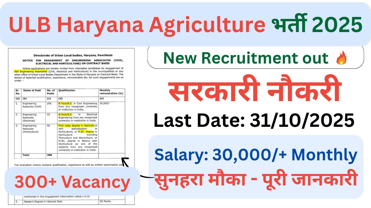 ULB Haryana Vacancy 2025 | 300 Vacancies | Salary ₹30,000 + Allowances | Notification Out!