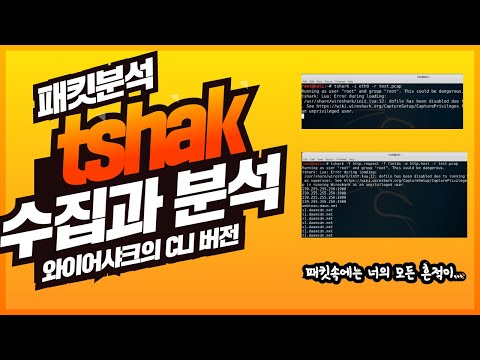 tshark를 활용한 패킷 분석 캡처 방법과 패킷 가져와서 분석하기