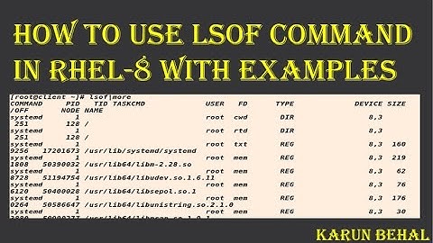 How to Use LSOF command in RHEL-8 With Examples in Hindi By Karun Behal