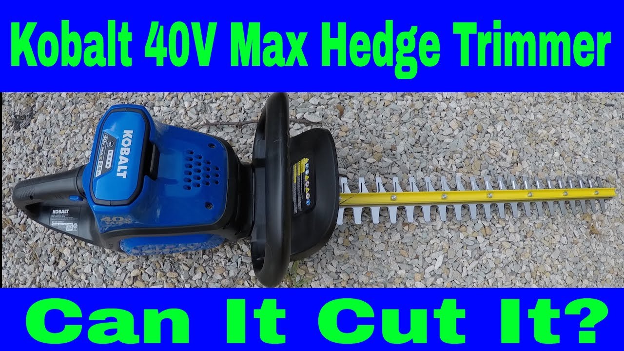 Kobalt 40v Max Hedge Trimmer Review #65 - YouTube