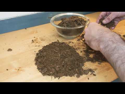 Soil for Ferns - A 2 Minute Guide to make a great soil for ferns